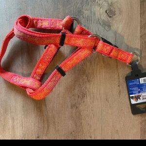 ISO MATCHING LEASH !